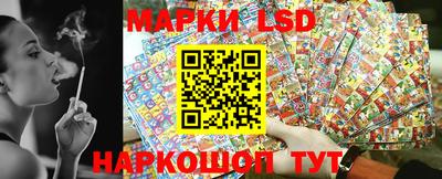 гидра Краснокаменск
