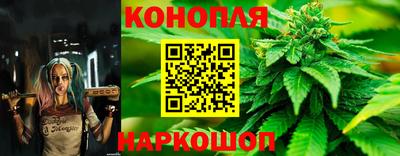 гашик Краснознаменск