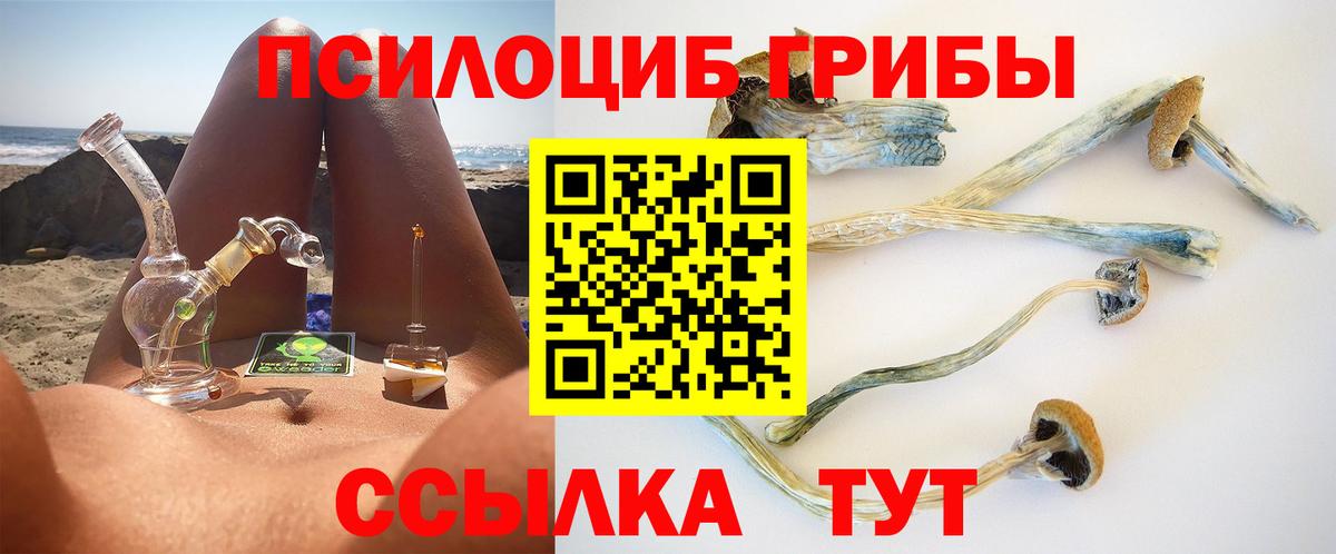 Псилоцибиновые грибы ЛСД  Галлюциногенные грибы Psilocybine cubensis  Елизово  Вход с VPN 